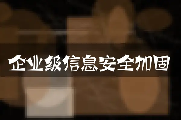 企业级信息安全加固