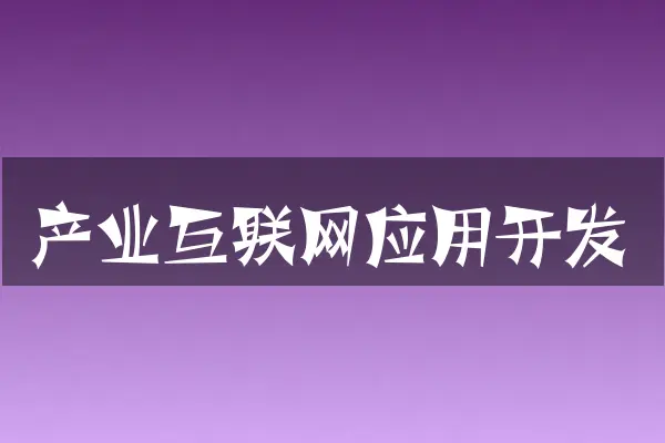 产业互联网应用开发