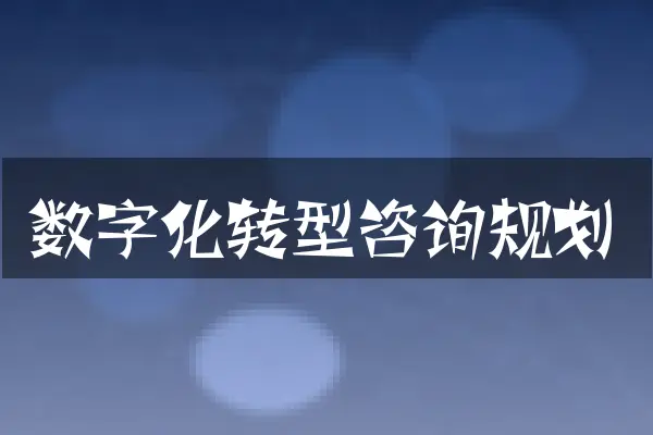 数字化转型咨询规划