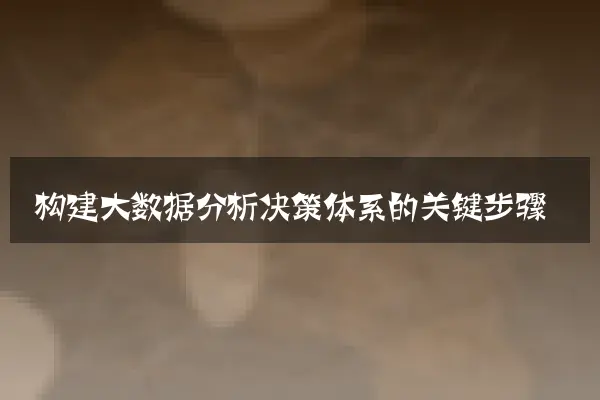 构建大数据分析决策体系的关键步骤