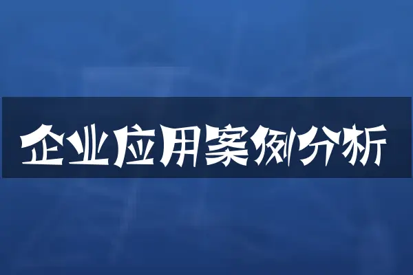 企业应用案例分析