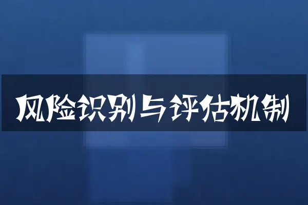 风险识别与评估机制