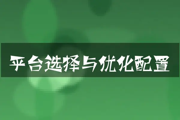 平台选择与优化配置