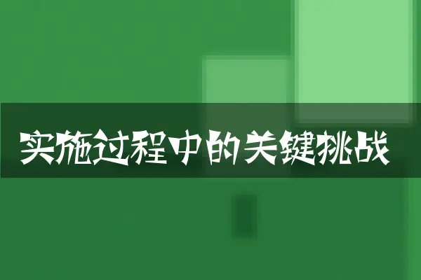 实施过程中的关键挑战