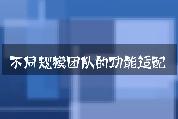 不同规模团队的功能适配