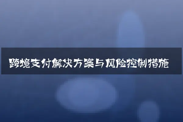 跨境支付解决方案与风险控制措施