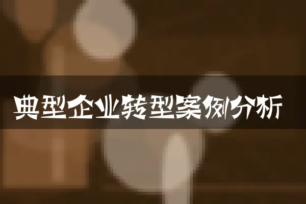 典型企业转型案例分析