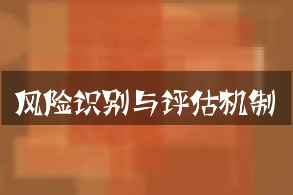 风险识别与评估机制